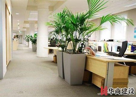 辦公室裝修的五大原則，原來要這樣設(shè)計！