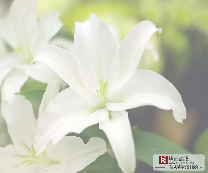 裝修不將就，廣州大型公裝家裝公司更注重細(xì)節(jié)