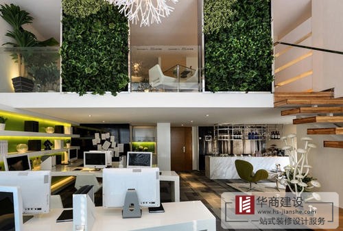 辦公室裝修中綠植是不可或缺的！為什么呢？